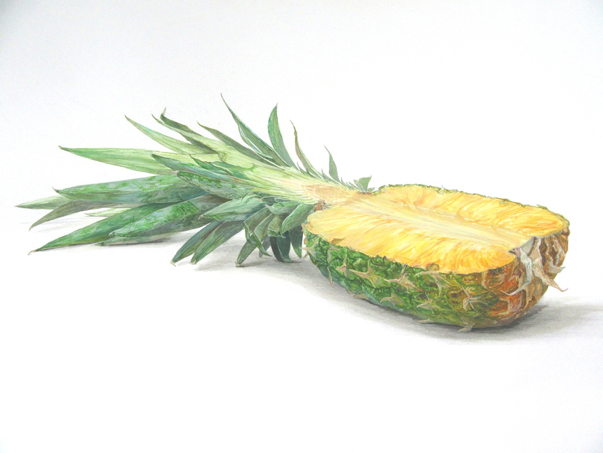 bad_id bad_pixiv_id food food_focus fruit narotake no_humans original pineapple realistic simple_background still_life traditional_media white_background