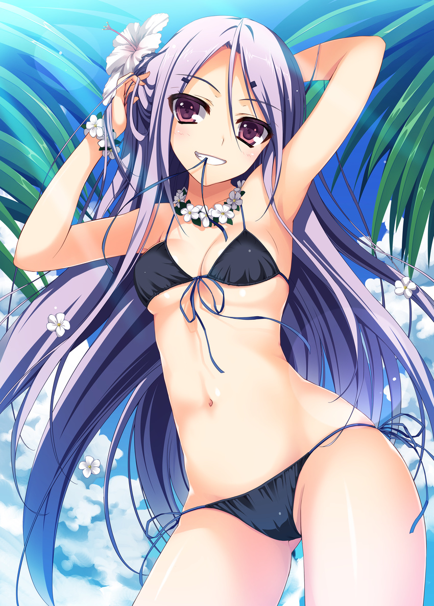 :d absurdres adjusting_hair akatsuki_no_goei arm_behind_head bikini black_bikini bow breasts cameltoe day female flower front-tie_top grin hair_flower hair_ornament hairbow hibiscus highres jewelry long_hair mai_(akatsuki_no_goei) medium_breasts mouth_hold navel necklace open_mouth purple_eyes purple_hair side-tie_bikini_bottom smile solo swimsuit tomose_shunsaku very_long_hair