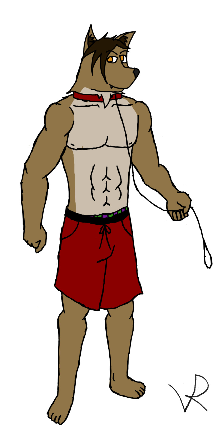 2010 anthro bottomwear boxers_(clothing) canid canine canis clothing collar hi_res hunter_fang_(vrart1) leash male mammal muscular muscular_anthro muscular_male shorts solo underwear vrart1 wolf