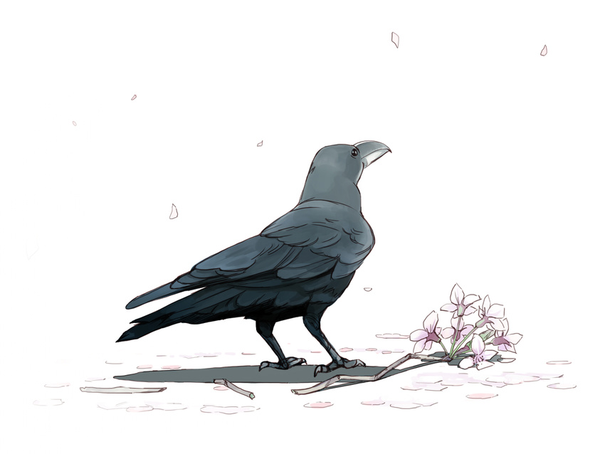 animal_focus bird black_eyes cherry_blossoms commentary_request crow flower jungle_crow monochrome no_humans original petals seo_tatsuya shadow simple_background spot_color