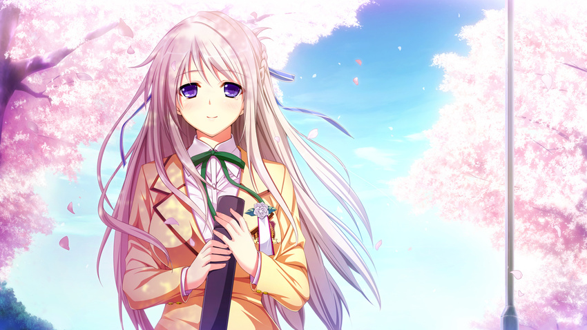 cherry_blossoms female game_cg gray_hair grey_hair hatsukoi_1/1 hatsukoi_1_1 iizuki_tasuku long_hair makabe_midori petals purple_eyes school_uniform smile