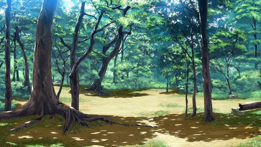 forest game_cg koiken_otome scenic tree