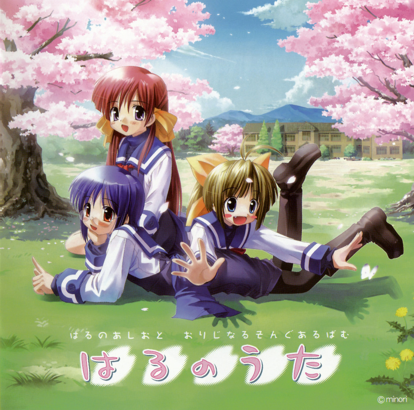 disc_cover haru_no_ashioto kimchii tagme