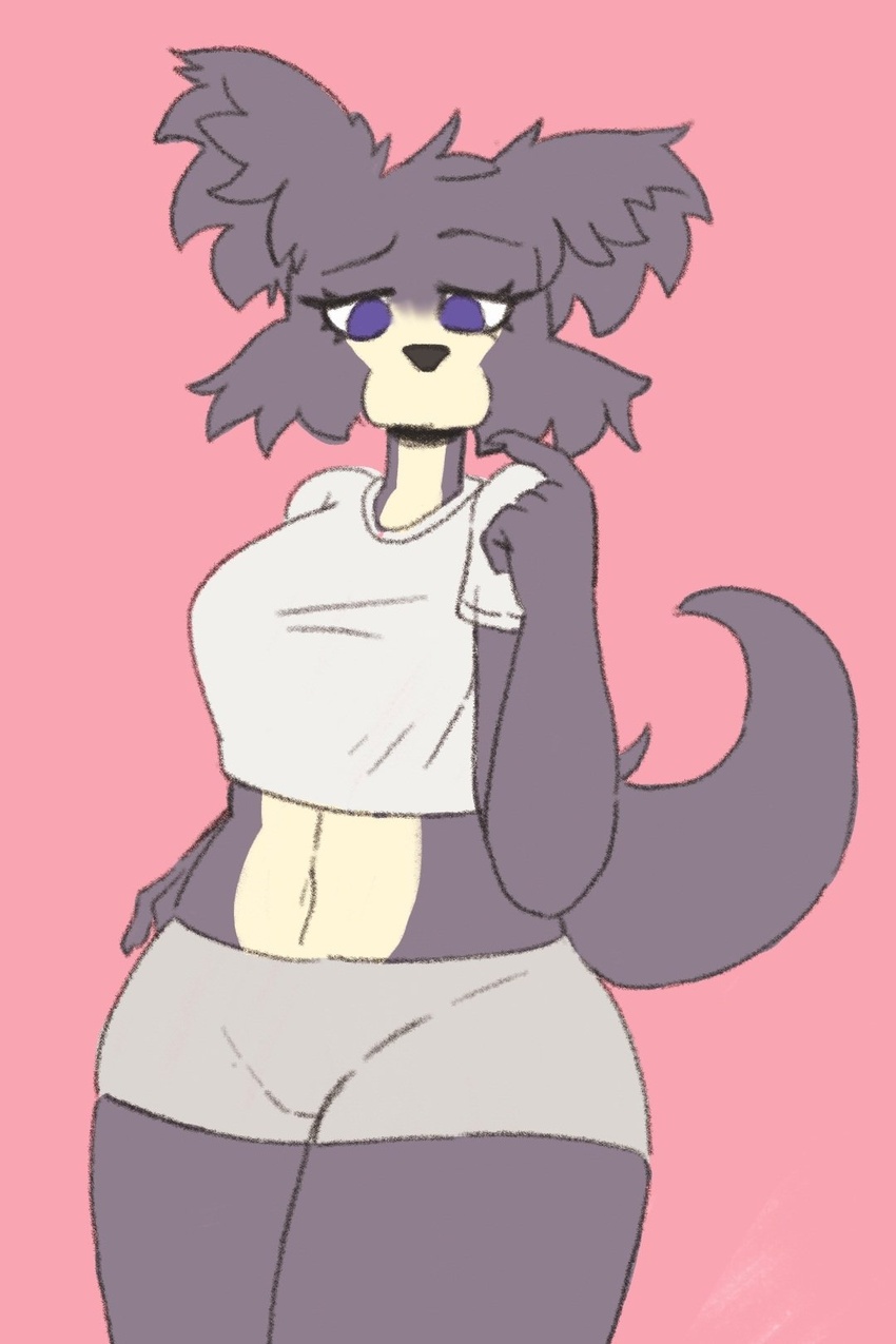 2:3 anthro beastars bottomwear boy_shorts brown_body brown_fur canid canine canis clothed clothing crop_top digital_media_(artwork) female fur hi_res juno_(beastars) looking_at_viewer mammal midriff navel purple_eyes shirt shorts simple_background solo topwear traknoch underwear wolf