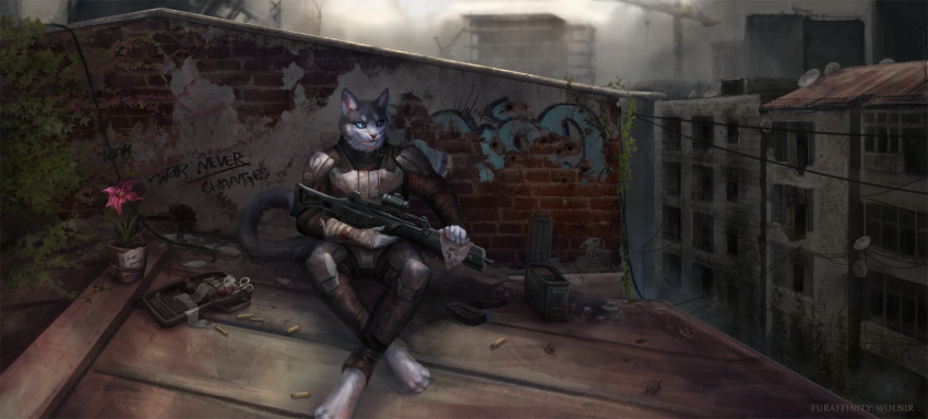 2021 4_toes 5_fingers ammo_box ammunition anthro bandage bandaged_arm blood bodily_fluids clothed clothing crossed_legs detailed_background digital_media_(artwork) domestic_cat english_text feet felid feline felis fingers flower fur g36 graffiti grey_body grey_fur gun hi_res holding_gun holding_object holding_ranged_weapon holding_weapon male mammal medical_instrument plant plant_pot potted_plant ranged_weapon rooftop scientific_instrument sitting solo text toes watermark weapon whiskers wolnir