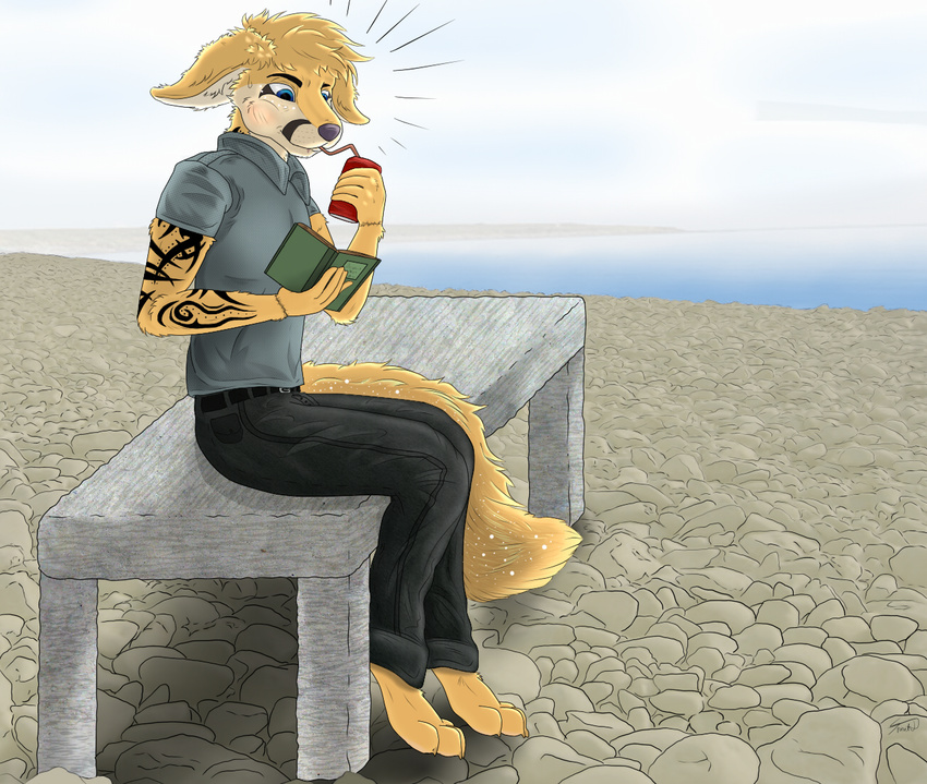 anthro autumn beach bench beverage book can canid canine cloud container fennec_fox food fox male mammal on_bench outside relaxing rock rocky_shore seaside sky solo spiritd surprise tattoo tribal true_fox