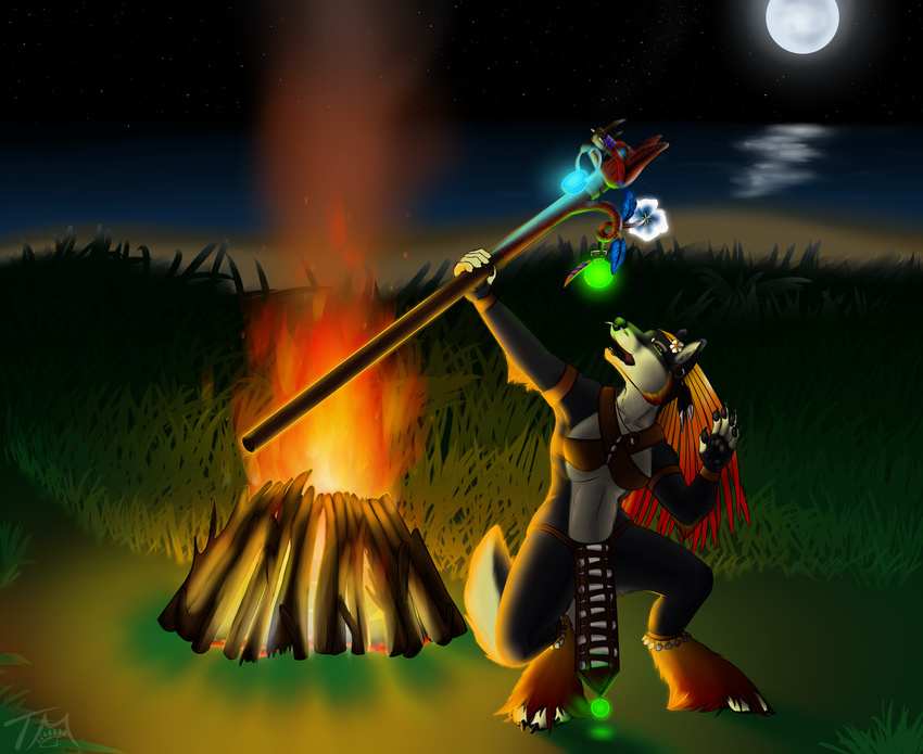 absurd_res anthro bakari bonfire canid canine clothed clothing female fur hair hi_res mammal night open_mouth outside sky solo staff standing star starry_sky