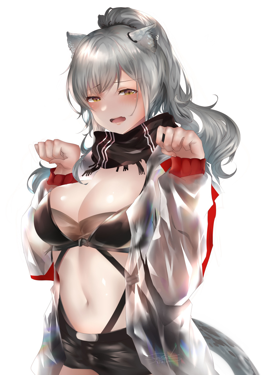 absurdres animal_ears arknights black_scarf black_shorts blush breasts brown_eyes cat_ears cat_tail cleavage commentary crop_top donatsu_(donut007008) female grey_hair hands_up highres jacket large_breasts long_hair long_sleeves looking_at_viewer midriff navel open_clothes open_jacket open_mouth paw_pose scarf schwarz_(arknights) short_shorts shorts simple_background solo stomach tail upper_body white_background