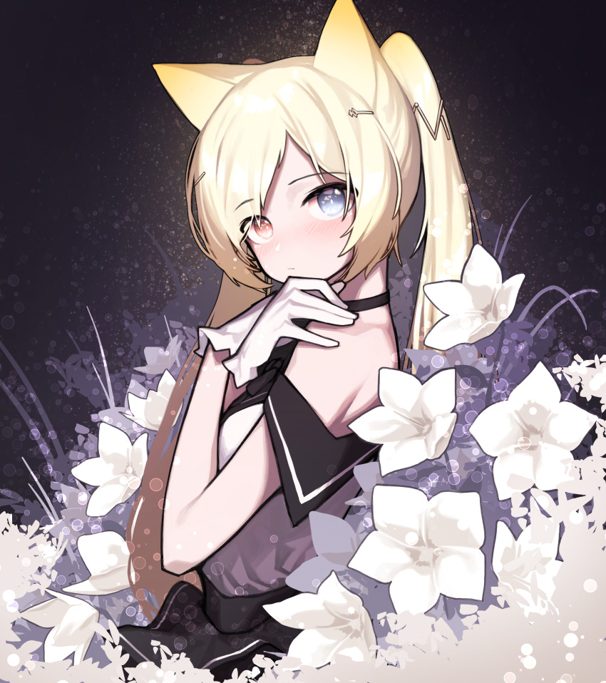 absurdres animal_ears arknights bare_shoulders beudelb black_choker blonde_hair blue_eyes blush cat_ears choker commentary_request dark_background dress female flower from_side gloves hair_ornament hairclip hands_on_own_shoulders heterochromia highres korean_commentary long_hair looking_at_viewer looking_to_the_side nightmare_(arknights) nightmare_(light_and_shadow)_(arknights) off-shoulder_dress off_shoulder red_eyes solo twintails upper_body white_dress white_flower white_gloves x_arms