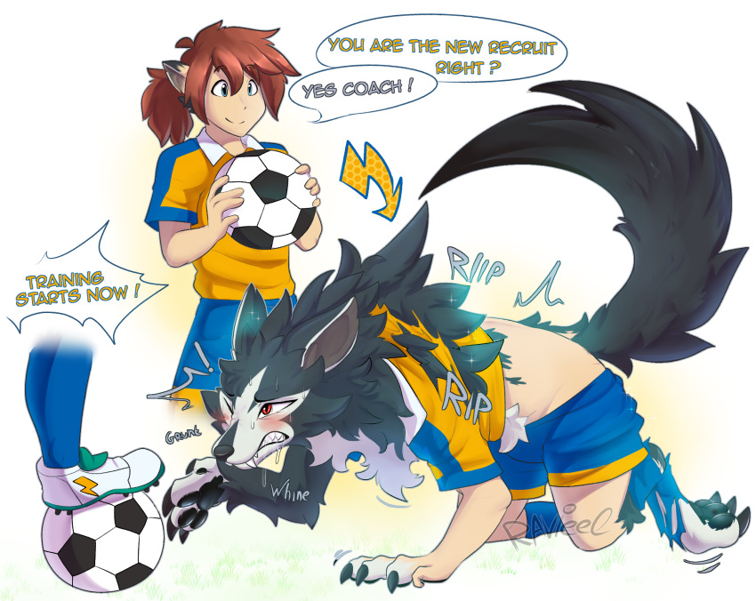 ball black_body black_fur blush bodily_fluids bottomwear canid canine canis claws cleats clenched_teeth clothing duo english_text feral fur fur_growth growth hi_res human human_to_feral inazuma_eleven_go male mammal one_eye_closed pawpads ravieel red_eyes shorts soccer_ball soccer_uniform species_transformation sportswear sweat tail tail_growth teeth text torn_clothing transformation tsurugi_kyousuke uniform wolf