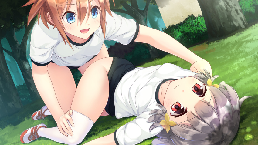 aragaki_akira bloomers blue_eyes forest game_cg grass gray_hair hiraoka_mutsuki kamitsure_~7_no_nijou_fushigi~ mizuki_kotora orange_hair red_eyes shirt short_hair thighhighs tree