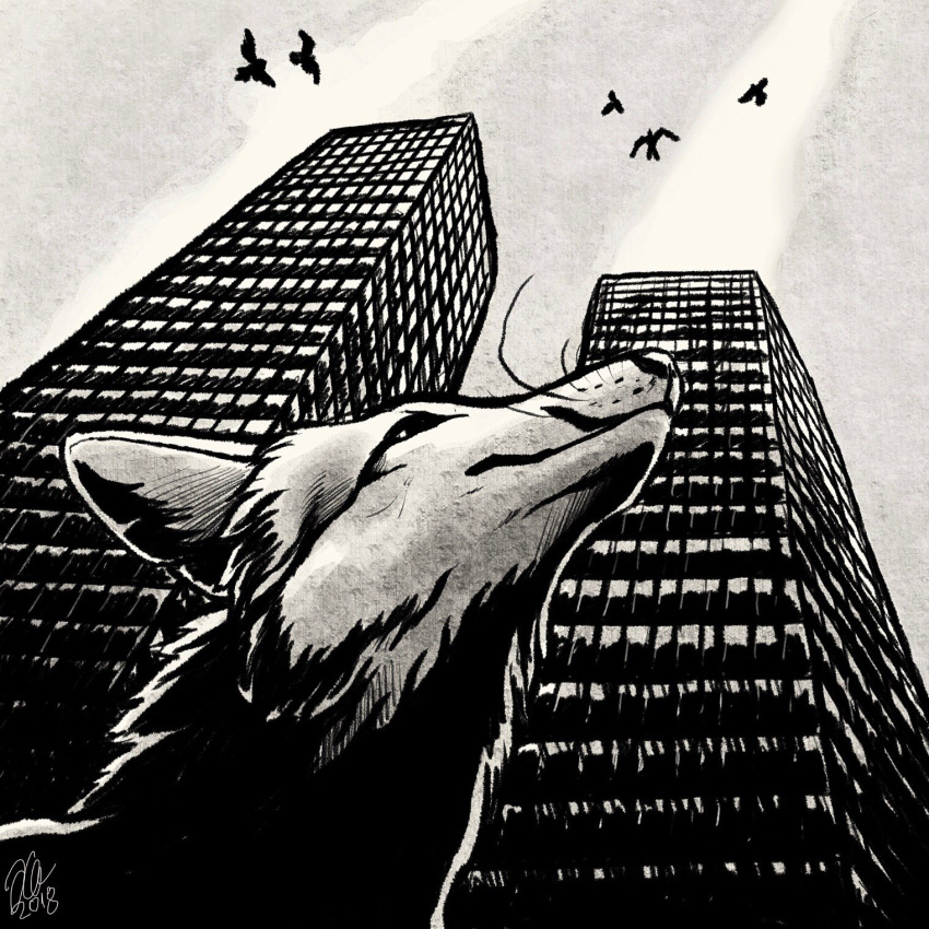 1:1 2018 ambiguous_gender avian bird building canid canine city detailed_background feral fox group hi_res kippycube low-angle_view mammal monochrome sky solo_focus whiskers world_trade_center