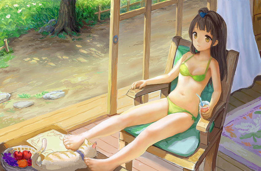 animal barefoot bikini brown_hair drink feline fruit grass long_hair love_live!_school_idol_project minami_kotori navel sayika summer swimsuit yellow_eyes