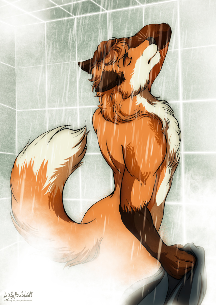 absurd_res anthro ass bathing bathroom biggoodwolf chest_fur chest_tuft closed_eyes curled_tail dipstick_tail doppelfoxx ears_back fur hi_res jakkals_van_der_bergh_(doppelfoxx) male manly markings muscular muscular_anthro muscular_male neck_tuft nude pivoted_ears pose raised_tail shower showering solo tail tail_markings tasteful_nudity text tile tile_wall touching_face towel tuft url wall_(structure) water wet wet_body wet_fur whiskers