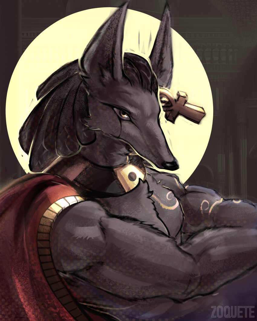 ancient_egyptians animal_humanoid ankh anubian_jackal canid canid_humanoid canine canine_humanoid canis clothing egyptian egyptian_clothing egyptian_mythology gold_(metal) gold_jewelry hi_res humanoid jackal jackal_humanoid jewelry male mammal mammal_humanoid middle_eastern_mythology muscular muscular_male mythology portrait solo zoquete