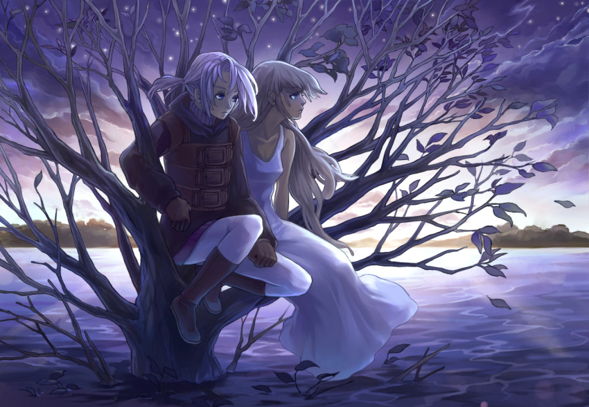 1boy aria_benett bonjour boots commentary_request dress dusk female final_fantasy final_fantasy_iii flood in_tree leaf looking_afar luneth pants photoshop_(medium) sitting sitting_in_tree tree water white_dress