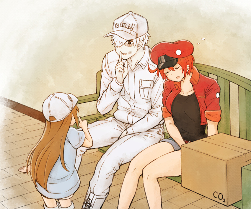 1boy 2girls ae-3803 ahoge bad_id bad_pixiv_id baseball_cap bench box breast_pocket brown_hair closed_eyes clothes_writing colored_skin contllenge cropped_jacket finger_to_mouth from_behind hair_over_one_eye hat hataraku_saibou indoors long_hair multiple_girls platelet_(hataraku_saibou) pocket red_blood_cell_(hataraku_saibou) red_hair shorts shushing sitting sleeping u-1146 white_blood_cell_(hataraku_saibou) white_hair white_skin