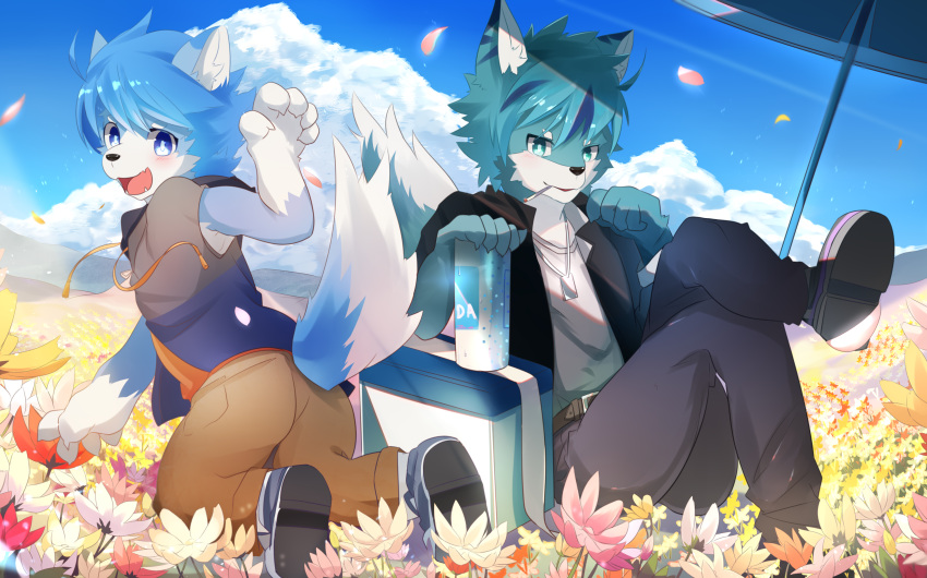 2018 5_fingers absurd_res anthro ass beverage beverage_can bottomwear canid canine canis clothing cloud crossed_legs domestic_cat domestic_dog duo felid feline felis fingers flower footwear fur gesture hi_res kemono looking_at_viewer male mammal nekojita open_mouth pants plant plantigrade scenery shoes sky soda umbrella waving