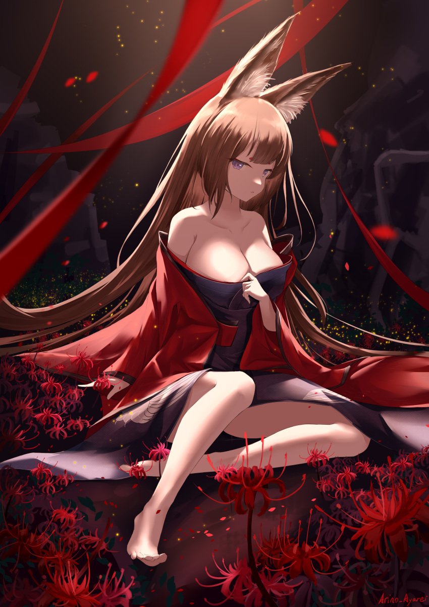 absurdres amagi_(azur_lane) animal_ear_fluff animal_ears arino_ayarei artist_name azur_lane bare_shoulders barefoot breasts brown_hair cleavage closed_mouth coat commentary_request female flower full_body highres japanese_clothes kimono large_breasts long_hair looking_at_viewer open_clothes open_coat purple_eyes purple_kimono red_flower red_ribbon revision ribbon sitting solo spider_lily very_long_hair wide_sleeves