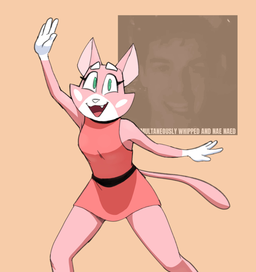 anthro belt clothing collar dancing domestic_cat dress felid feline felis female green_eyes hi_res hitsuji looking_at_viewer mammal matpat nae_nae_dance shima_luan simple_background solo super_planet_dolan white_hands