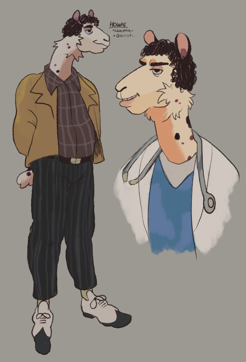 anthro camelid doctor hi_res lips llama male mammal model_sheet thick_bottom_lip videonastyz