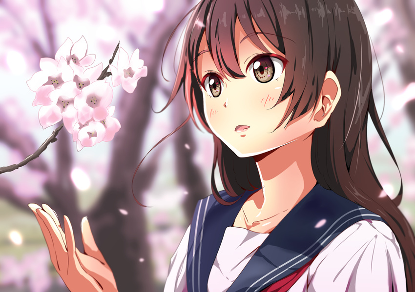 arm_at_side blurry branch brown_eyes brown_hair cherry_blossoms commentary depth_of_field female hair_between_eyes kei_(0497) lips long_hair original parted_lips school_uniform serafuku solo symbol-only_commentary tree upper_body