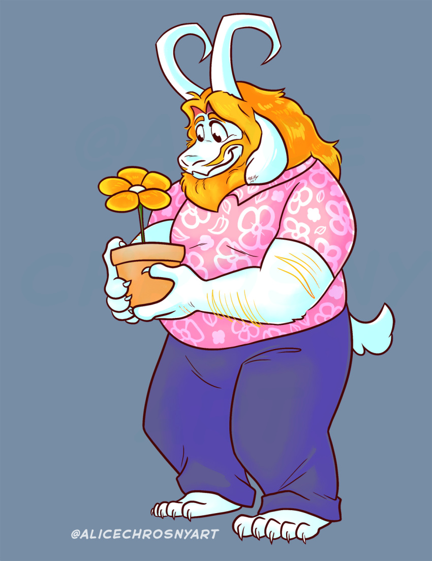 alice_chrosny anthro asgore_dreemurr beard belly boss_monster_(undertale) bovid caprine facial_hair flower hi_res horn long_ears male mammal mature_anthro mature_male overweight overweight_anthro overweight_male plant simple_background solo undertale undertale_(series)