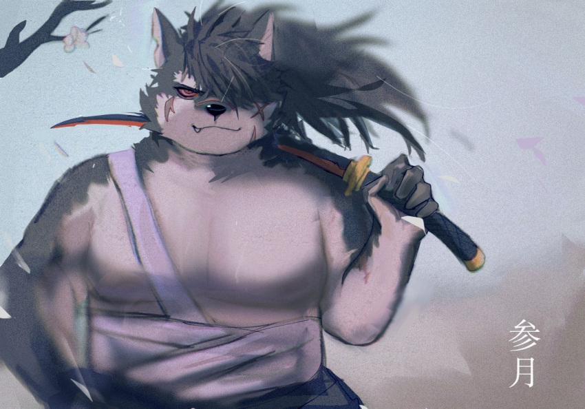 anthro bandage canid canine canis domestic_dog eyebrows hair japanese_text katana lifewonders long_hair male mammal melee_weapon pecs ponytail popcornduck2 samurai scar shino_(tas) solo sword text thick_eyebrows tokyo_afterschool_summoners warrior weapon