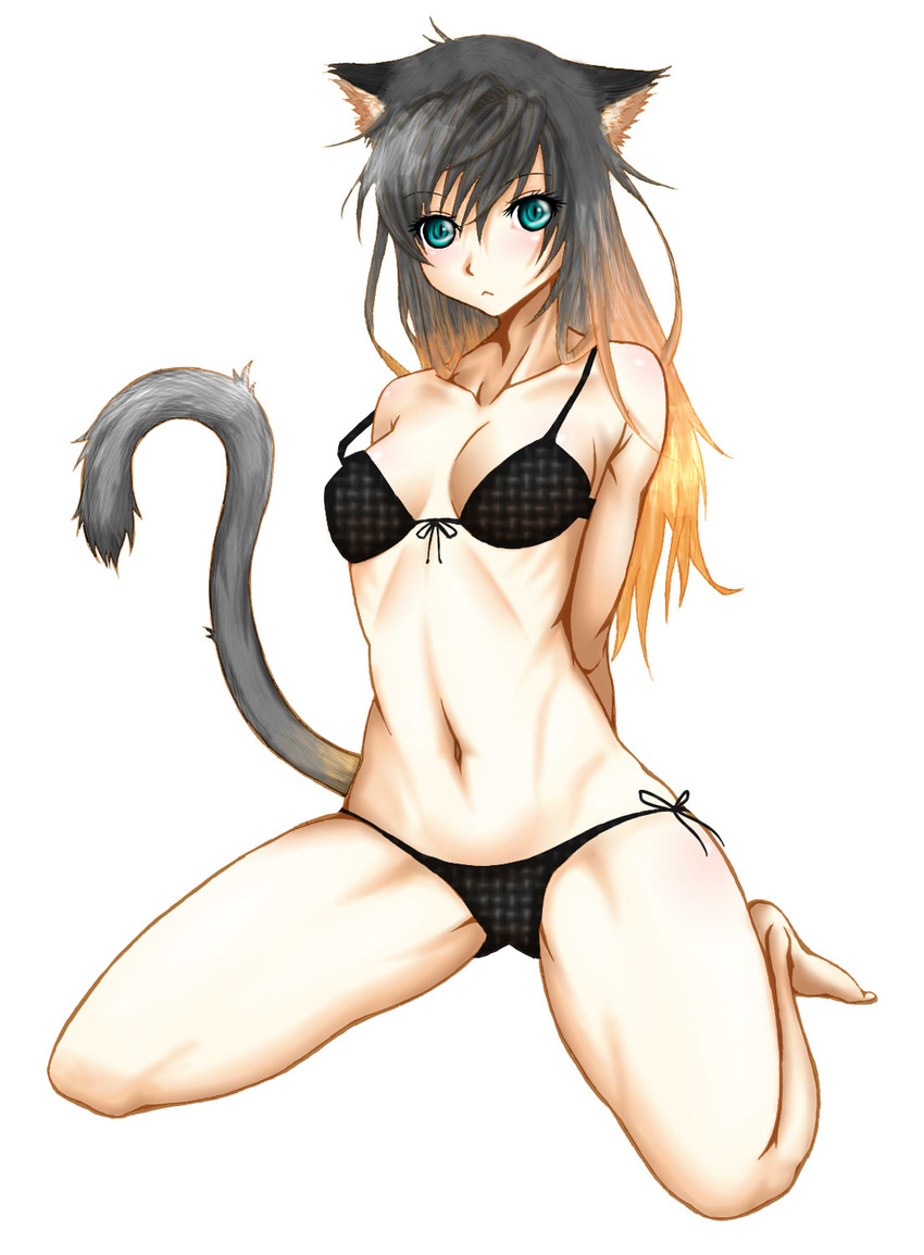 191karasu animal_ears bad_id bad_pixiv_id bikini black_bikini black_hair blonde_hair blue_eyes cat_ears cat_tail female gradient_hair highres long_hair multicolored_hair original solo swimsuit tail