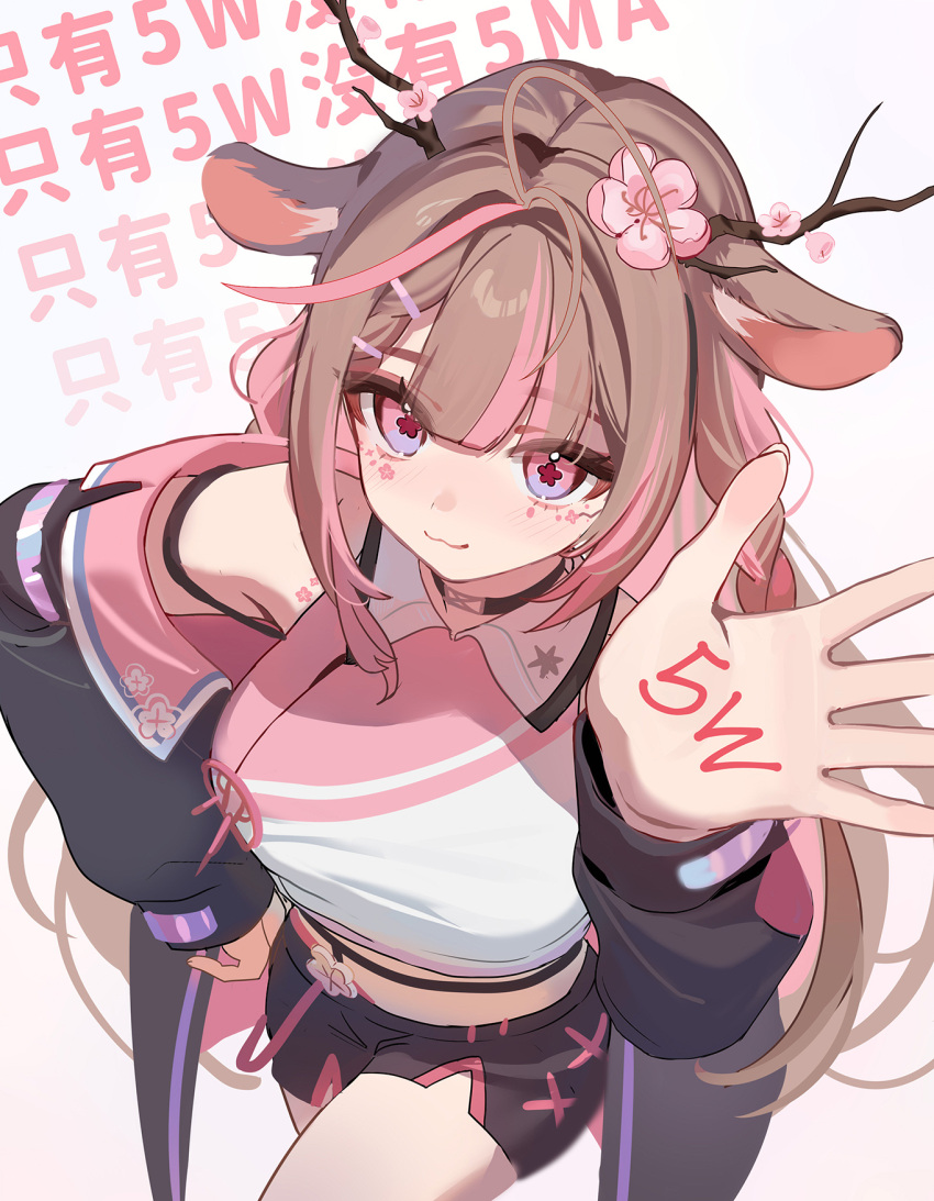 animal_ears antlers arm_up black_jacket black_shorts breasts brown_hair chinese_commentary closed_mouth commentary_request deer_antlers deer_ears deer_girl exitus female flower flower-shaped_pupils flower_facial_mark gradient_eyes grey_background hand_on_own_hip highres horns jacket kannazuki_lubee large_breasts long_hair long_sleeves looking_at_viewer midriff multicolored_eyes multicolored_hair off_shoulder pink_eyes pink_flower pink_hair ruiuncle shirt shorts simple_background sleeveless sleeveless_shirt smile solo standing streaked_hair symbol-shaped_pupils virtual_youtuber