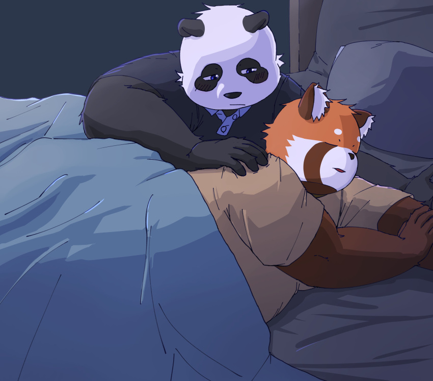 2024 absurd_res ailurid anthro bari_mu bear bed bedding black_body black_nose blanket brown_body duo furniture giant_panda hi_res kemono lying male mammal orange_body overweight overweight_male pillow red_panda sleeping white_body