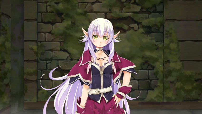 atelier-moo belt breasts cleavage cloak closed_mouth cowboy_shot dark_elf detached_sleeves dungeon elf female hair_between_eyes hand_on_own_hip highres large_breasts long_hair long_pointy_ears looking_at_viewer miniskirt narrow_waist pointy_ears purple_cloak purple_hair silvia_milsteen skirt solo standing very_long_hair wizards_symphony yellow_eyes