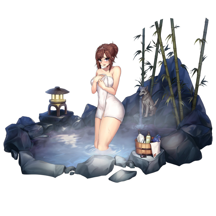 bamboo blush breast_hold breasts brown_hair bucket canine collarbone covering_breasts covering_privates d-log digital_media_player female fountain full_body grey_eyes hair_between_eyes hair_bun highres kheshig_(last_origin) last_origin looking_at_viewer medium_breasts naked_towel official_alternate_costume official_art onsen open_mouth ripples rock shutter_shades soap_bottle solo statue stone_lantern stuffed_animal stuffed_dolphin stuffed_toy tachi-e thick_thighs thighs third-party_source towel transparent_background wading water wet white_towel wooden_bucket