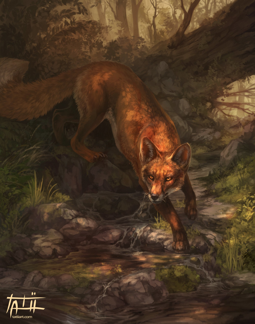 2020 4_toes absurd_res ambiguous_gender black_nose canid canine day detailed_background digital_media_(artwork) feet feral forest fox fur grass hi_res mammal orange_body orange_eyes orange_fur outside paws plant solo tatiilange text toes tree url whiskers