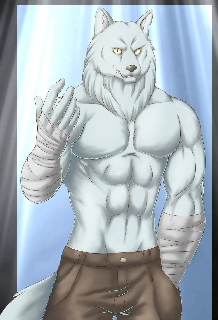 2023 5_fingers abs anthro arm_wraps athletic athletic_anthro athletic_male black_nose bottomwear canid canine canis chibikoma clothed clothing fingers fur grey_body grey_fur hand_in_pocket hand_wraps hi_res kemono_michi:_rise_up male mammal muscular muscular_anthro muscular_male navel pants pecs pockets solo teeth topless topless_anthro topless_male wolf wolfgang_von_kraftman wraps