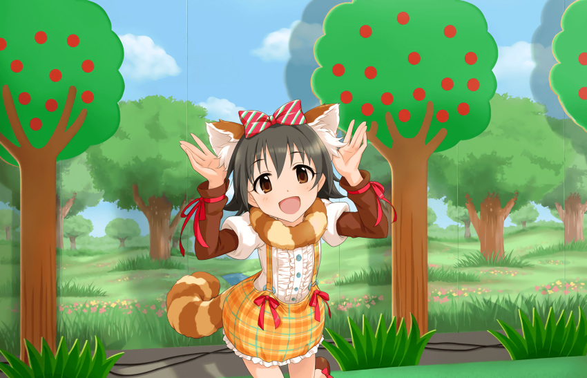 :d akagi_miria animal_ears artist_request black_hair blush brown_eyes cable female hands_up highres idolmaster idolmaster_cinderella_girls idolmaster_cinderella_girls_starlight_stage looking_at_viewer official_art open_mouth raccoon_ears raccoon_tail shippo_mofumofu_(idolmaster) short_hair skirt smile solo suspender_skirt suspenders tail