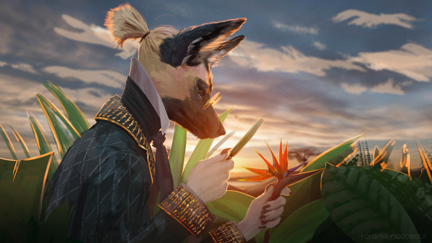 5_fingers absurd_res africa african_wild_dog anthro arctil-noddedur aristocrat canid canine claws clothed clothing cloud ears_up eyewear fingers flower fur glasses gold_(metal) grass hair hi_res jacket male mammal mouth_closed nomax_(character) plant ponytail science sky skyscape solo sun sunset topwear tree wild_dog_(disambiguation)