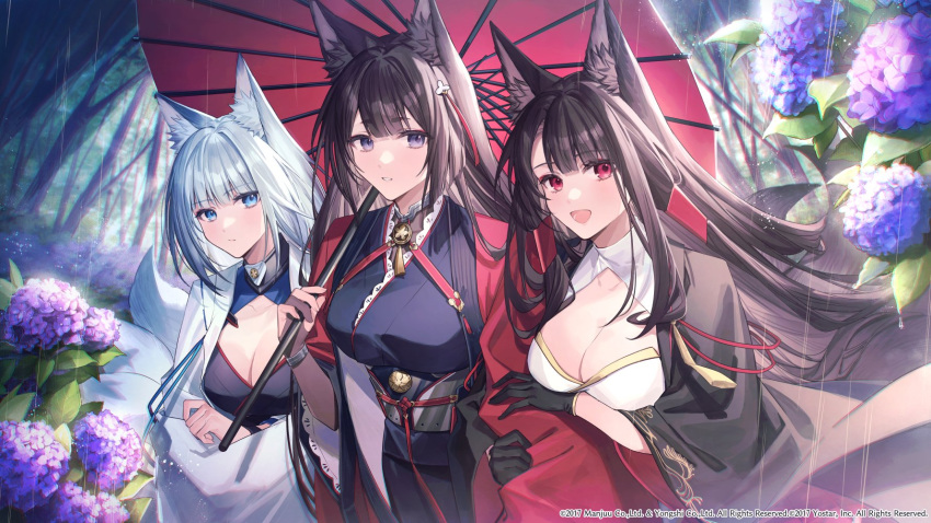 3girls akagi_(azur_lane) amagi_(azur_lane) animal_ear_fluff animal_ears azur_lane black_gloves black_kimono blue_eyes bracelet breasts brown_hair cleavage closed_mouth commentary_request coyucom flower fox_ears fox_tail frown gloves grey_hair highres hyacinth japanese_clothes jewelry kaga_(azur_lane) kimono kitsune kyuubi large_breasts locked_arms long_hair looking_at_viewer medium_hair multiple_girls multiple_tails official_art oil-paper_umbrella open_mouth outdoors parted_lips rain red_eyes red_kimono sakuramon sidelocks smile standing tail thick_eyebrows umbrella upper_body very_long_hair white_kimono