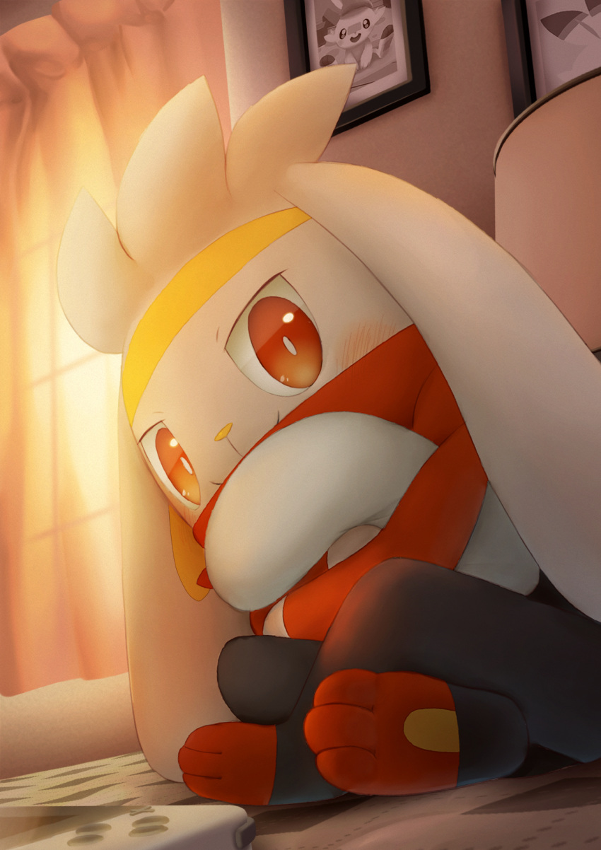 blush bright_pupils closed_mouth commentary_request curtains from_below furry highres indoors looking_at_viewer photo_(object) pokemon pokemon_(creature) purobe raboot red_eyes scorbunny sitting smile toes white_pupils