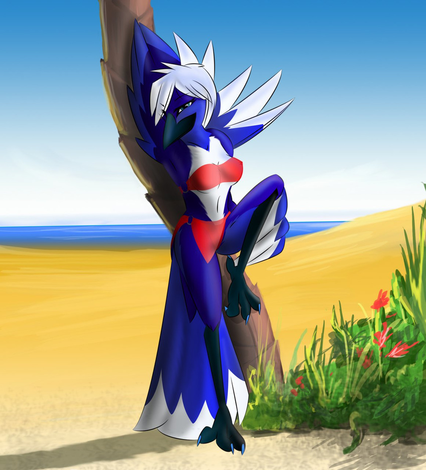 anthro avian beach beak bedroom_eyes better_version_at_source bird clothed clothing corrvo eyebrows eyelashes feathered_wings feathers feet female flexible half-closed_eyes hi_res maggie_kry narrowed_eyes one_leg_up pose raised_leg seaside seductive solo splits spread_legs spreading standing talons toes vertical_splits wings