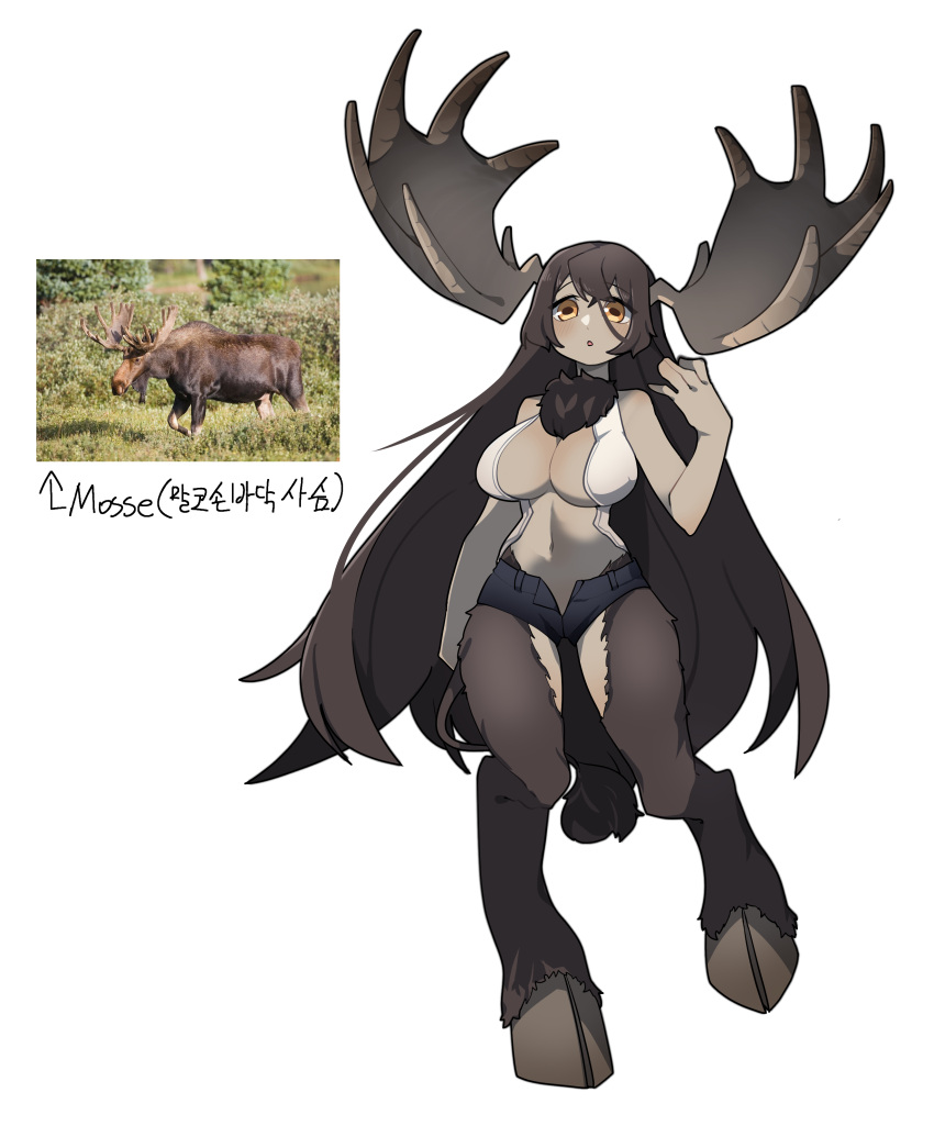 absurdres antlers breasts brown_hair center_opening dark-skinned_female dark_skin digitigrade female full_body gomulgong highres hooves horns huge_horns long_hair moose moose_antlers moose_girl moose_tail neck_fur orange_eyes original photo-referenced photo_inset short_shorts shorts solo tail very_long_hair white_background