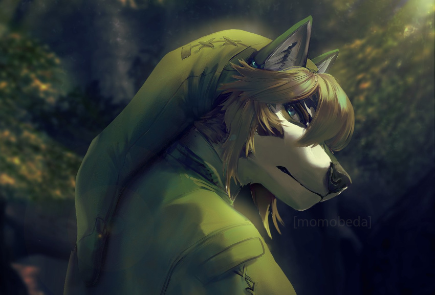 anthro anthrofied blonde_hair blue_eyes bust_portrait canid canine canis clothed clothing detailed forest green_clothing hair hat headgear headwear looking_at_viewer male mammal momobeda nintendo plant portrait shirt solo the_legend_of_zelda topwear tree tunic wolf wolf_link