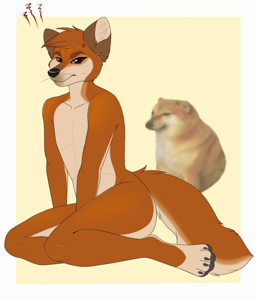 angry anthro banzai.puppy canid canine canis cheems cross-popping_vein digital_media_(artwork) dogelore domestic_dog eyebrows fur hi_res hindpaw looking_at_viewer male mammal nude orange_body orange_fur paws shiba_inu simple_background sitting solo spitz whiskers