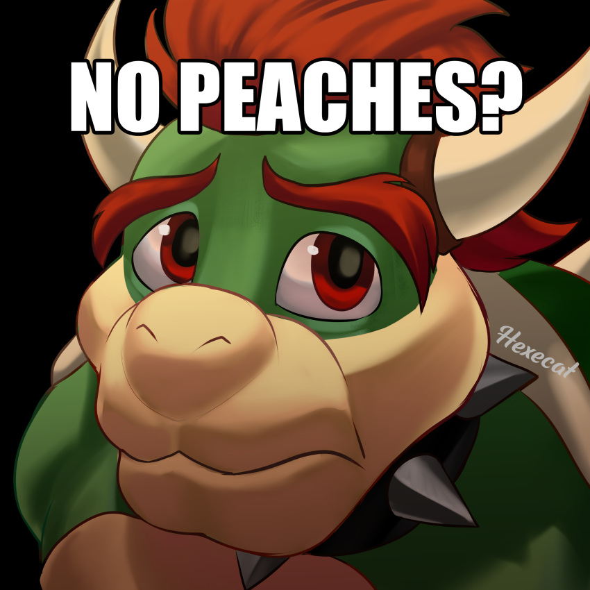 1:1 absurd_res anthro big_eyes black_background bowser collar hair hexecat hi_res horn icon illumination_entertainment impact_(font) koopa male mario_bros meme multicolored_body nintendo no_bitches? reaction_image red_eyes red_hair reptile sad scalie shell simple_background solo spiked_collar spikes text the_super_mario_bros_movie turtle