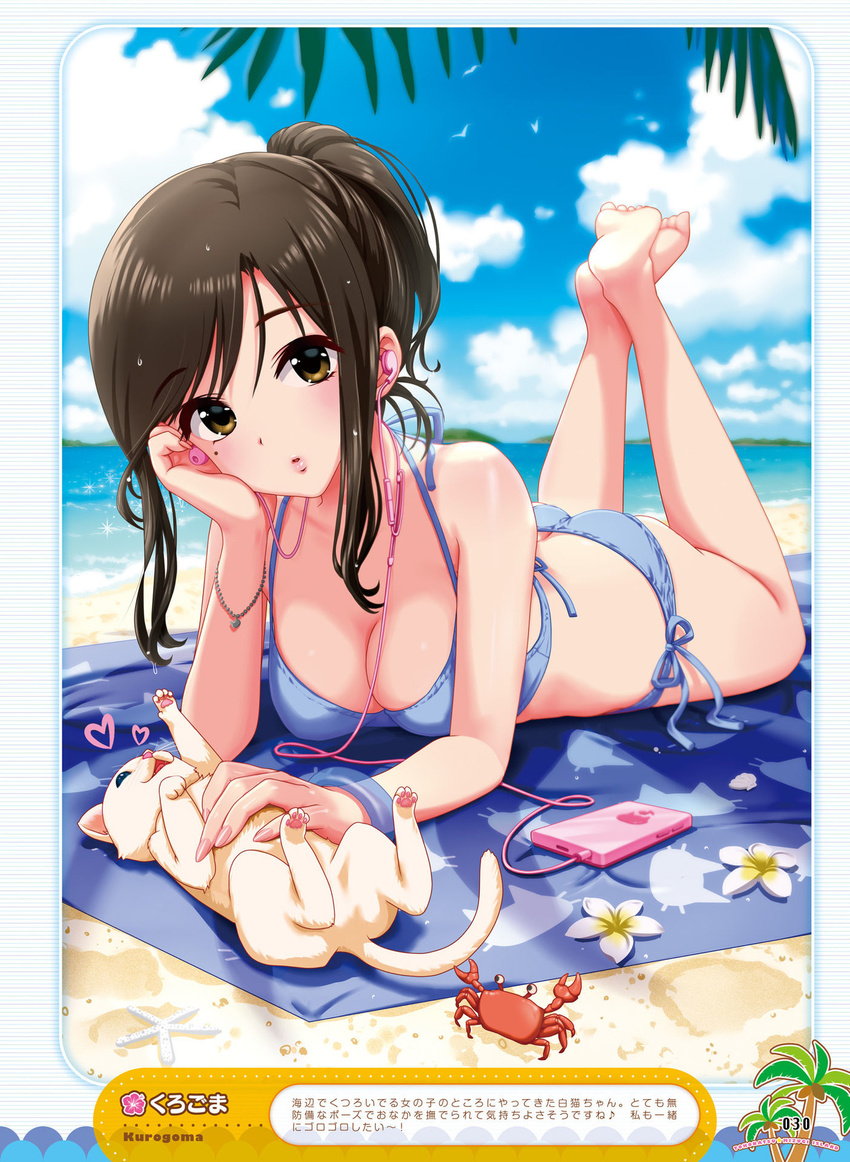 ass bare_legs barefoot beach bikini bird blue_bikini blue_sky breasts brown_eyes brown_hair cleavage cloud cloudy_sky crab crossed_legs day dengeki_moeou digital_media_player earbuds earphones feline female flower halterneck head_rest headpat highres kurogoma lying medium_breasts mole mole_under_eye on_stomach outdoors parted_lips side-tie_bikini_bottom sidelocks single_earphone_removed sky solo string_bikini swimsuit the_pose wet wet_hair