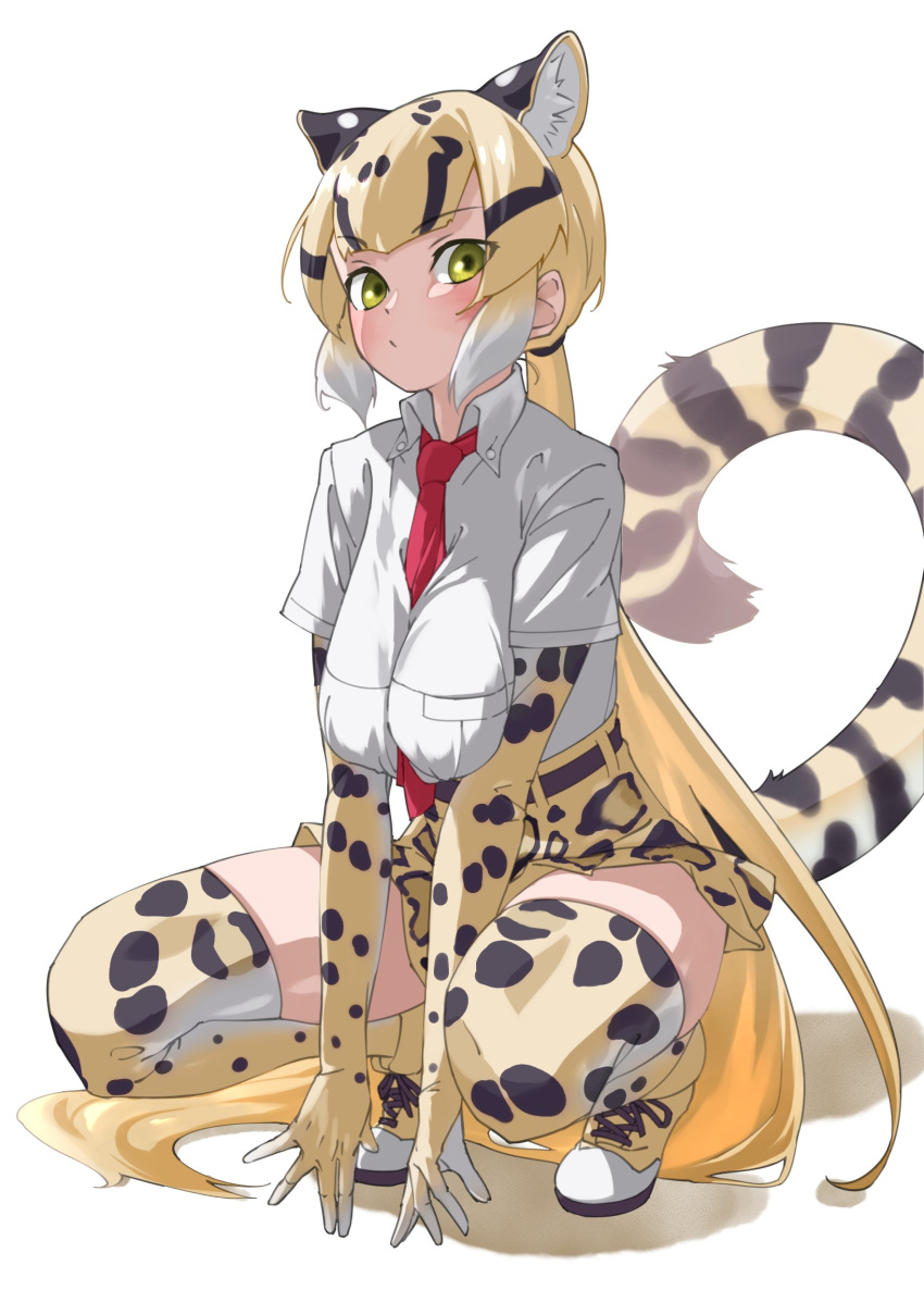 absurdres animal_ear_fluff animal_ears animal_print between_breasts black_hair blonde_hair breasts breasts_squeezed_together closed_mouth clouded_leopard_(kemono_friends) commentary elbow_gloves extra_ears female full_body gloves green_eyes highres kemono_friends large_breasts leopard_ears leopard_girl leopard_print leopard_tail long_hair looking_at_viewer multicolored_hair necktie necktie_between_breasts ponytail print_gloves print_skirt print_thighhighs red_necktie shirt short_sleeves simple_background skirt solo squatting tail tanabe_(fueisei) thighhighs tiptoes very_long_hair white_background white_hair white_shirt zettai_ryouiki