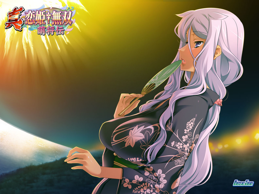 aerial_fireworks blue_eyes dutch_angle female fireworks hand_fan hikage_eiji japanese_clothes koihime_musou kougai lights long_hair night night_sky profile purple_hair sky solo water