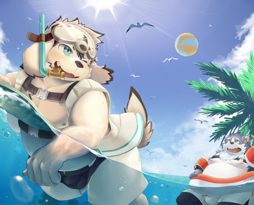 absurd_res anthro belly bottomwear canid canine canis clothing domestic_dog duo fur grey_body grey_fur harima hechaxianzhi hi_res male mammal moobs nipples one_eye_closed overweight overweight_male palm_tree plant shorts snorkel swimming swimwear tajima_(tamacolle) tamacolle tree water white_body white_fur wink