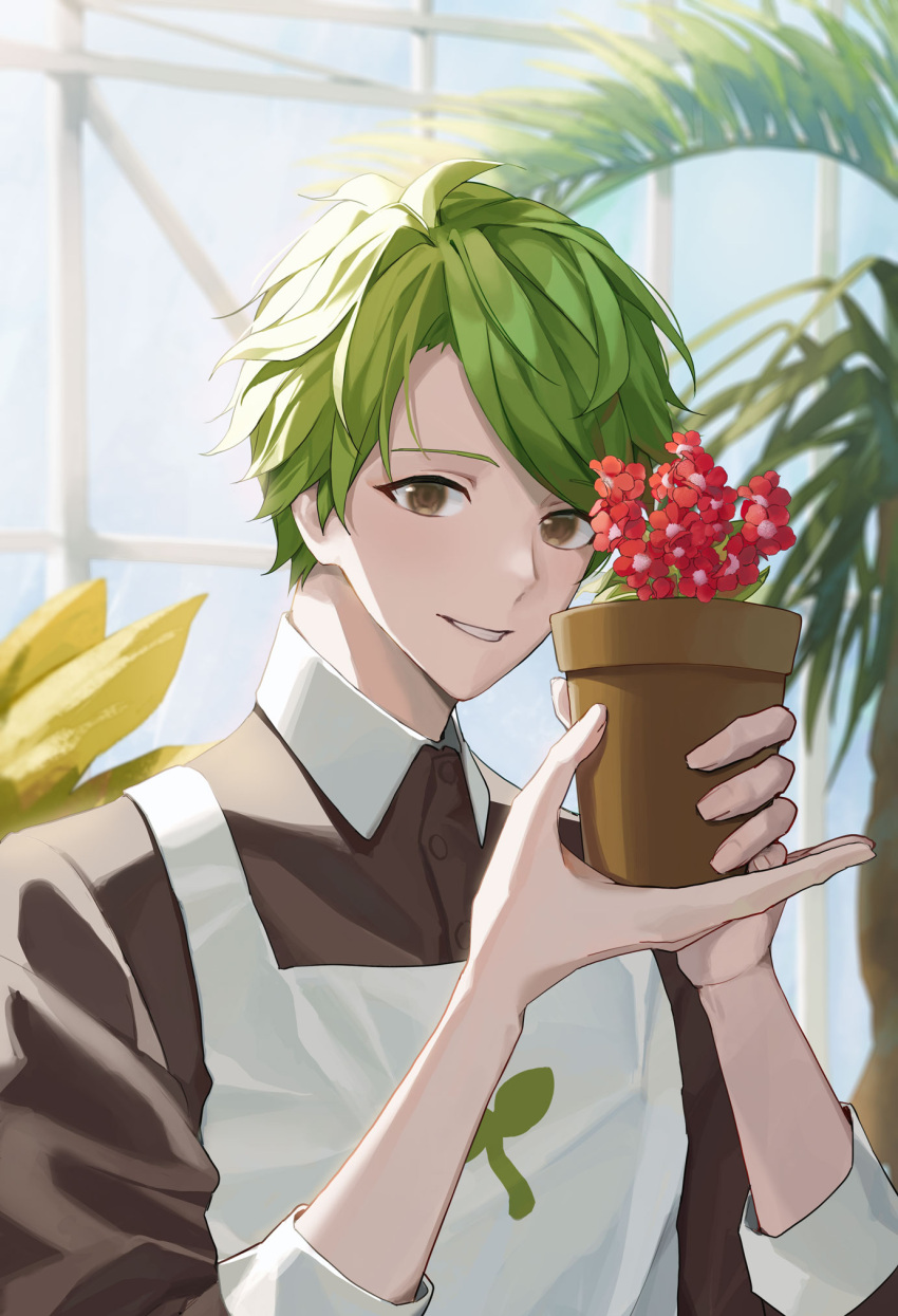 1boy apron blurry blurry_background botanical_garden brown_eyes brown_shirt buttons collared_shirt commentary cookie_run day depth_of_field dress_shirt flower food green_hair herb_cookie highres holding humanization indoors leaf leaf_print looking_at_viewer male_focus parted_lips plant potted_plant red_flower rowon shirt short_hair smile solo symbol-only_commentary teeth upper_body white_apron window