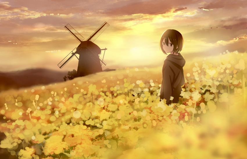 backlighting blurry blurry_foreground bob_cut brown_eyes brown_hair cloud cloudy_sky commentary_request depth_of_field female field flower flower_field landscape looking_at_viewer looking_back original outdoors rapeseed_blossoms sakeharasu scenery short_hair sky solo standing sunset wide_shot windmill yellow_theme